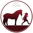 redponybinicilik.com